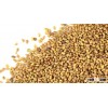 Top Quality Alfalfa seeds
