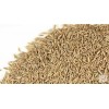 High Quality Alfalfa Seeds
