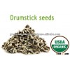 Drumstick seeds