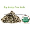 Buy Moringa Tree Seeds