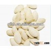 Sunshine pumpkin seeds and kernels