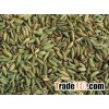 Fennel Seeds