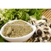 Moringa Oleifera Seeds and Moringa Leaves, ready stock for delivery