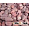 Jojoba Seeds