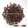 SHIVLINGI SEED/ INDIA ORIGIN