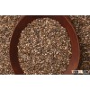 Chia Seed