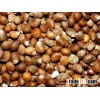 perilla seeds dry seeds meal