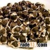 Top Quality 10:1 Moringa Seed P.E.