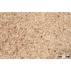 raw sesame seeds