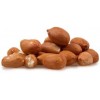 Bold & Java nut