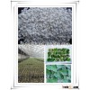 agricultural perlite