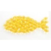 Omega 3 fish oil