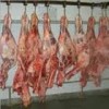 Pork Collar