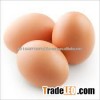 Farm chicken eggs for sale at very good price