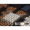 Quality Chicken Eggs