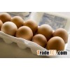 Fresh Chicken Eggs