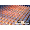 Fertile Hatching Chicken Egg/Fresh Chicken Table Eggs