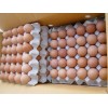 Fresh Chicken Table Eggs