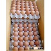 Fresh Brown Chicken Eggs