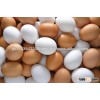 Farm Fresh Chicken Table Brown and White Eggs !! Top Grade..