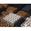 White/Brown Fresh Table Chicken Eggs