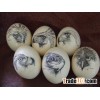 Fresh Fertile Ostrich and Quail Eggs Available