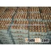 fresh table eggs
