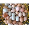 Chicken eggs