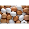 Farm Fresh Chicken Table Eggs Brown and White Shell Chicken Eggs