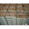 Fresh Chicken Brown & White Table Eggs in Bulk