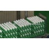 CLEAN AFFORDABLE FRESH WHITE AND BROWN EGGS BRAZIL ORIGIN