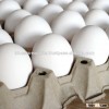 Fresh Table Eggs