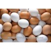 High Fresh Table Eggs Brown And White GRADE a FOR SALE HOT SALES