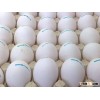 frozen eggs for sale
