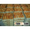 Fertilized Hatching Eggs and Fresh Chicken Table Eggs..