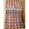 High Quality Organic Fresh table chicken egg white and brown