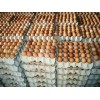 Farm Fresh Chicken Table Eggs,Farm Fresh Chicken Table Eggs