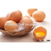 Thai Farm Fresh Chicken Eggs Exports