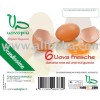 Red Hen Eggs