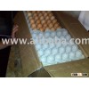 White And Brown Fresh Eggs