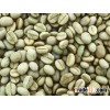 High Quality Arabica Coffee beans good price