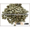 ARABICA GREEN COFFEE BEANS