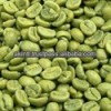 GREEN COFFEE BEANS