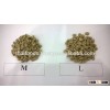 Thai Arabica Coffee Beans