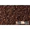 Arabic and Robuster Coffee Beans