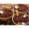 arabica coffee bean
