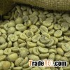 Roasted Arabica Coffee Bean/ Robusta/ Arabica Coffee Beans