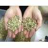 Arabica Green Coffee Beans