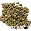 Raw Arabica and Robusta Coffee Beans