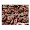 High Quality Arabica Roasted coffee beans